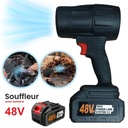 Souffleur sans fil turbo 48v Avec 2 Batterie 