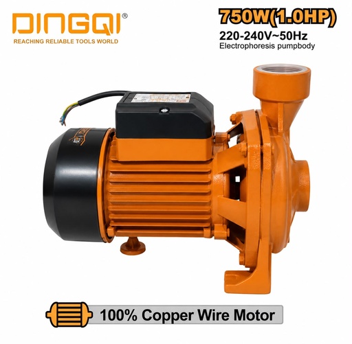 POMPE À EUA 1HP 750W DINGQI 